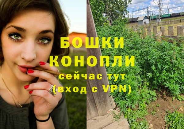 дурь Семёнов