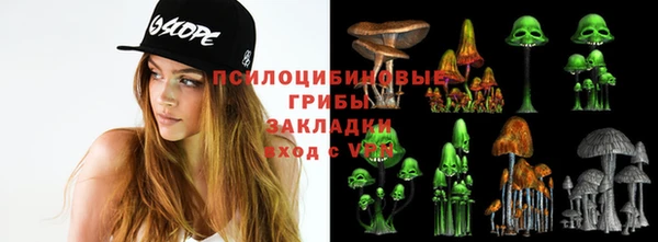 прущие грибы Семилуки