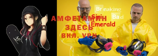 прущие грибы Семилуки