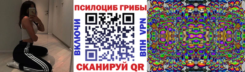 Галлюциногенные грибы GOLDEN TEACHER  Вилючинск 